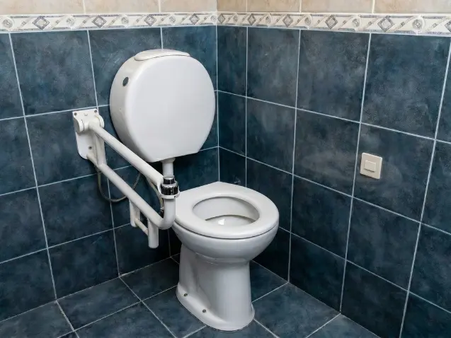 Baño adaptado con barral de apoyo