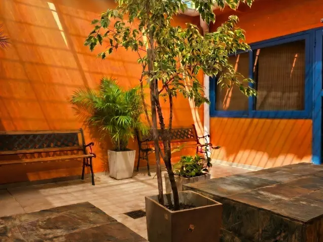 Patio luminoso con plantas y espacios de descanso